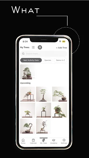 ดาวน์โหลด Mirai Mobile ล่าสุด – คู่มือดูแลบอนไซส่วนตัวของคุณ - Screenshot 15