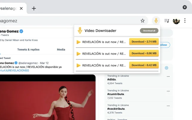 ดาวน์โหลด Video Downloader Web ล่าสุด – ตัวช่วยโหลดวิดีโอฟรี - Screenshot 1