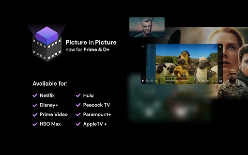 ดาวน์โหลดส่วนขยาย Netflix Picture in Picture – ดูวิดีโอแบบลอยฟรี - Screenshot 1