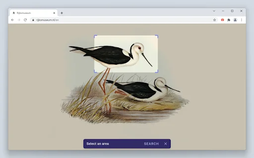 ดาวน์โหลด Search by Image ล่าสุด – ค้นหาภาพย้อนกลับฟรี - Screenshot 4
