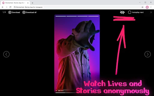 StoriesHub ดาวน์โหลดฟรี – ดูและบันทึก Instagram Stories ลับเฉพาะ - Screenshot 4