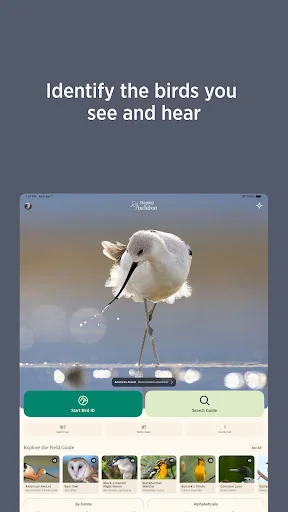 ดาวน์โหลด Audubon Bird Guide เวอร์ชันล่าสุด – คู่มือดูนกฟรีที่ดีที่สุด - Screenshot 8