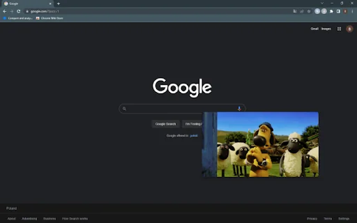 ดาวน์โหลดส่วนขยาย Netflix Picture in Picture – ดูวิดีโอแบบลอยฟรี - Screenshot 2