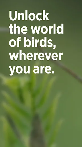 ดาวน์โหลด Audubon Bird Guide เวอร์ชันล่าสุด – คู่มือดูนกฟรีที่ดีที่สุด - Screenshot 1