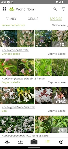 ดาวน์โหลด PlantNet ระบุชนิดพืชแม่นยำ – แอปดีที่คนรักต้นไม้ต้องมี - Screenshot 3
